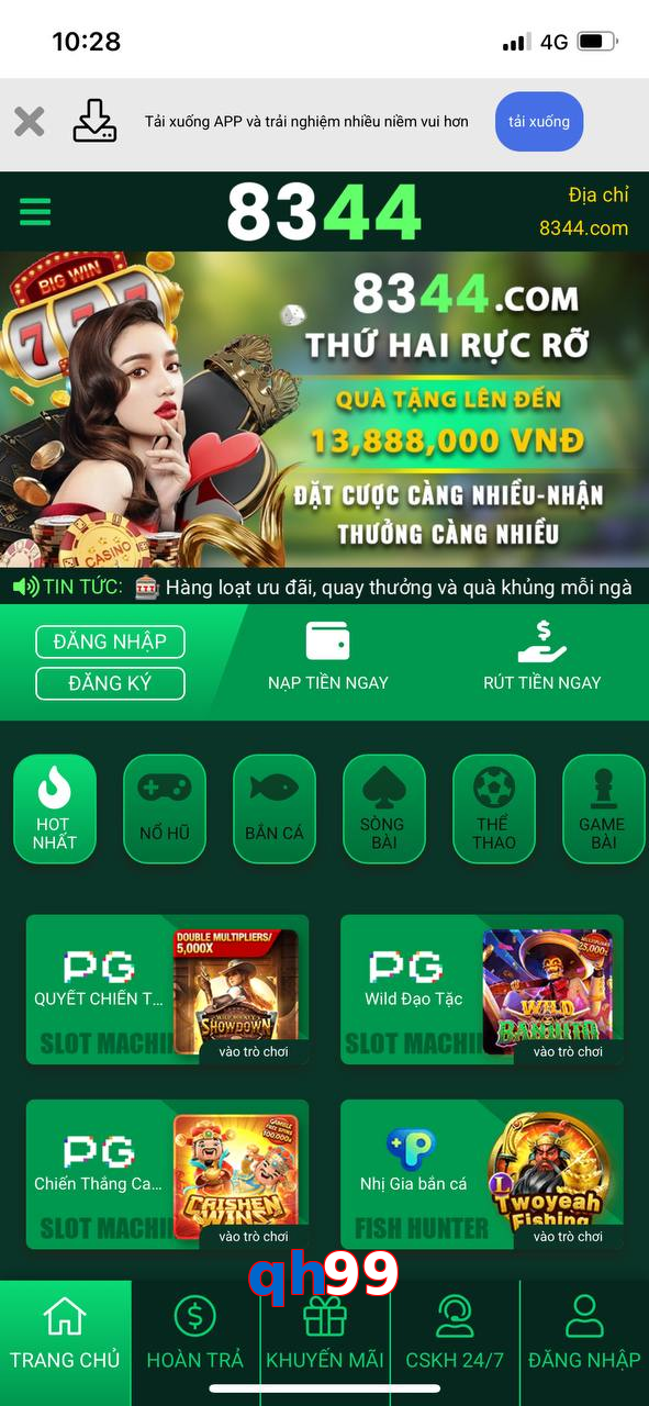 qh99